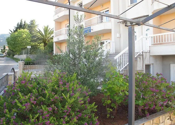 Mia * סטארי גראד